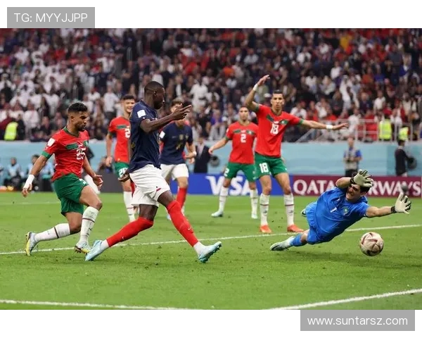 聚焦世界足球明星成长之路与辉煌成就及未来发展趋势全景解析深度