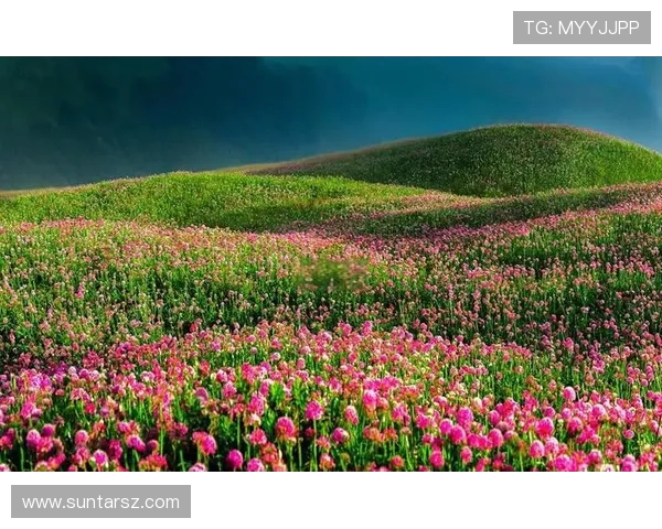 以花海王者为中心描绘浪漫奇幻世界的唯美视觉盛宴 以花海王者为中心描绘浪漫奇幻世界的唯美视觉盛宴